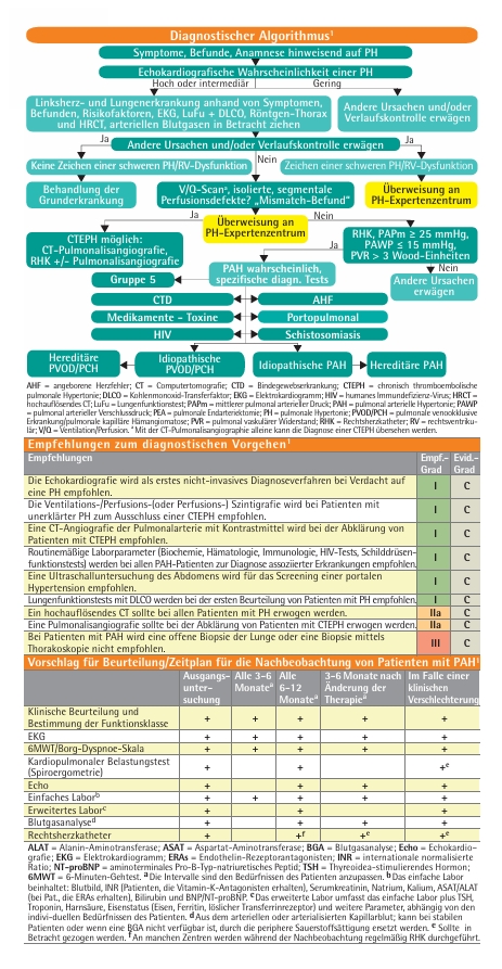 Pulmonale Hypertonie pocketcard set Arbeitsbeispiel
