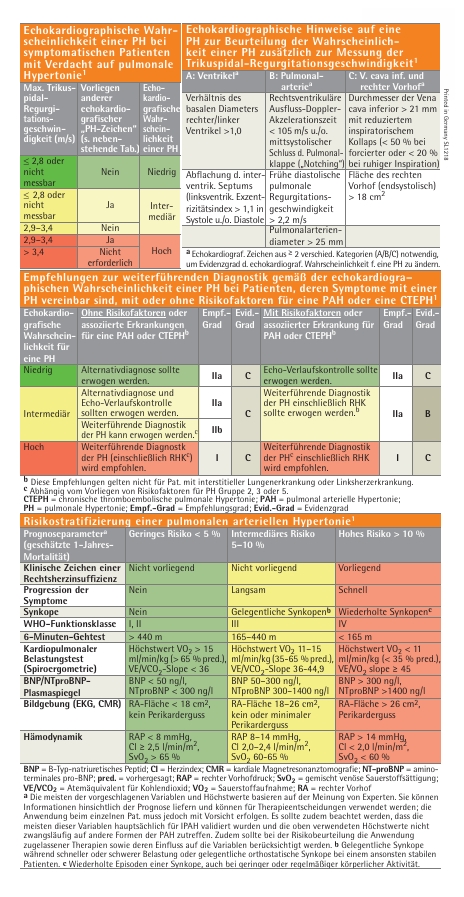 Pulmonale Hypertonie pocketcard set